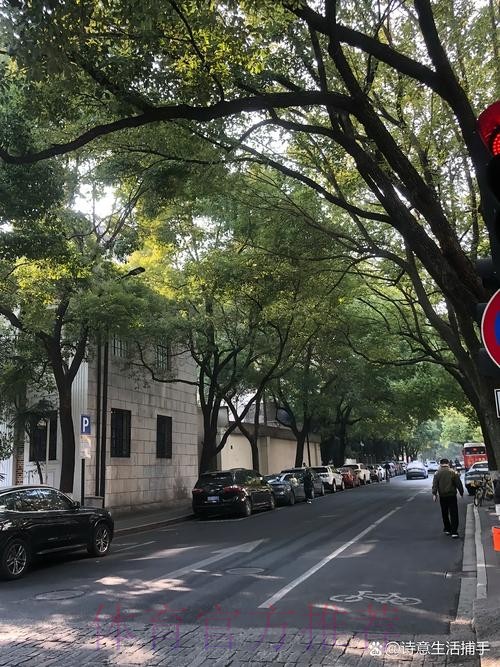 杨瀚森工作室：七天六赛&年轻的肩膀扛得起一场又一场的渴望